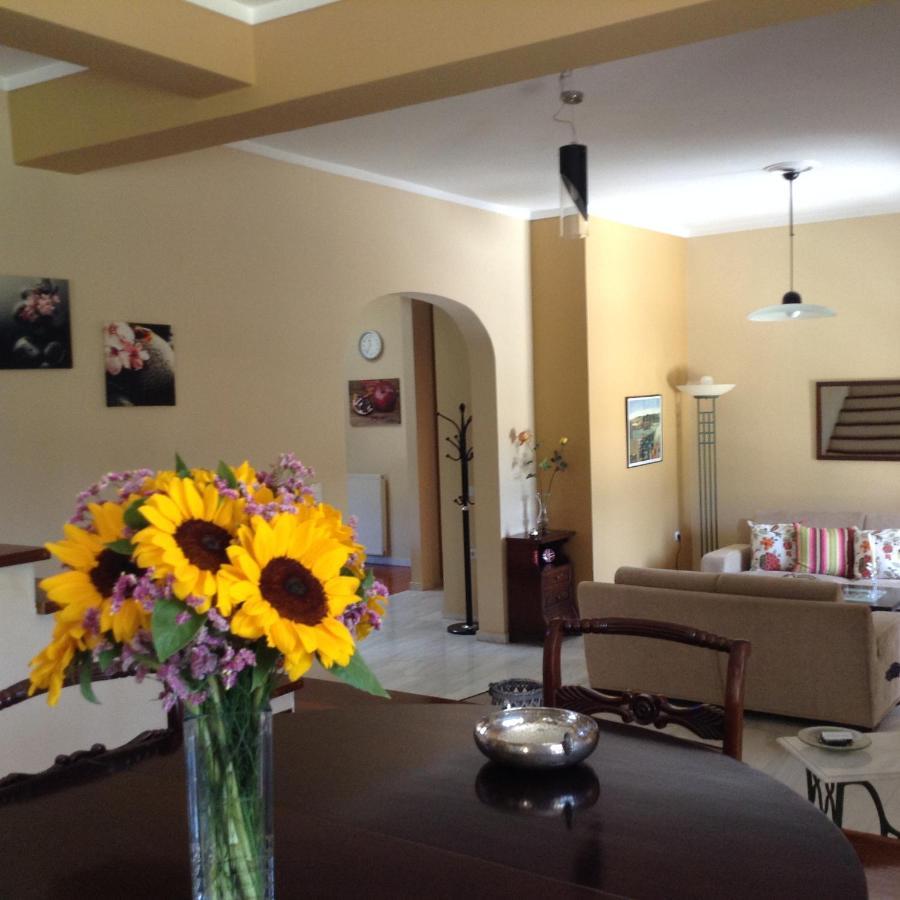 Armonia House Potamos Village Zewnętrze zdjęcie